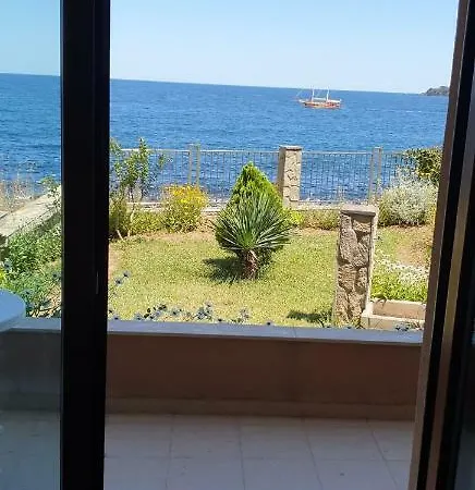 Melody Szozopol